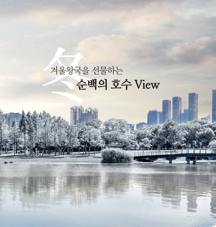프리미엄01