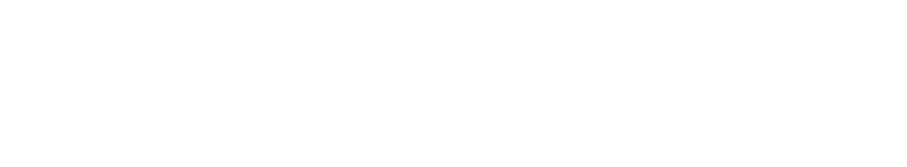 텍스트