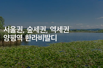 홍보